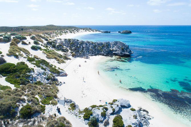Discover Rottnest with Ferry & Bus Tour - Discover Rottnest with Ferry & Bus Tour: An Authentic Day Trip from Fremantle