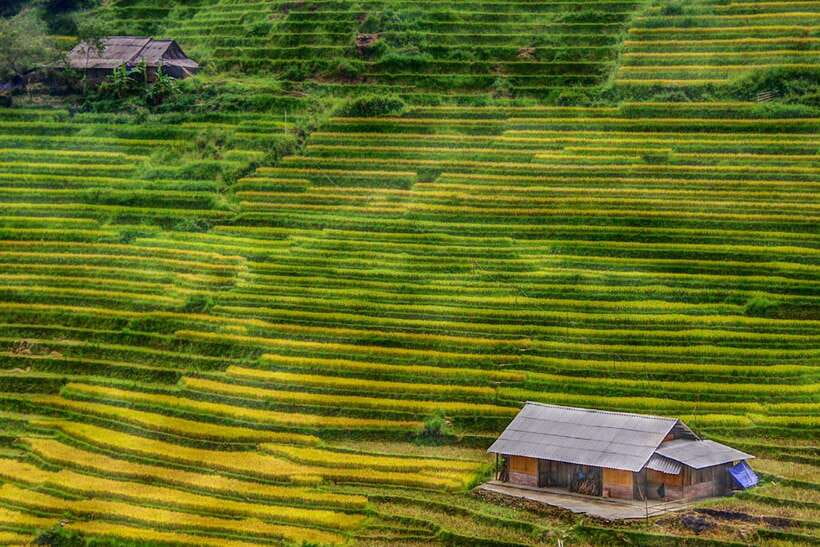 Discover Sapa Trekking With Optional Cultural Homestay - Tour Overview and Pricing