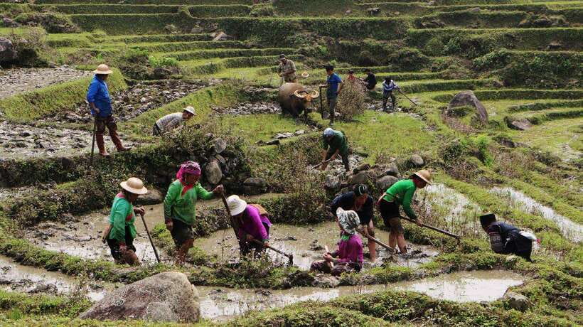 Discover Sapa Trekking With Optional Cultural Homestay - Customer Reviews and Experiences