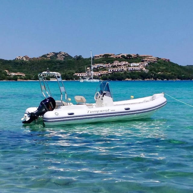 Discover Sardinia: Dolphin Watching and Capo Figari Tour - Key Points