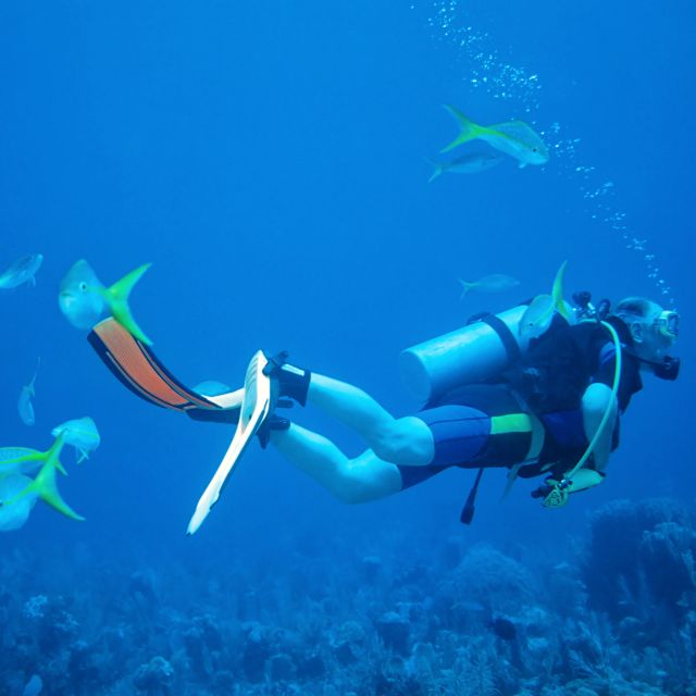 Discover Scuba at the Underwater Sculpture Park - Certificate of Completion