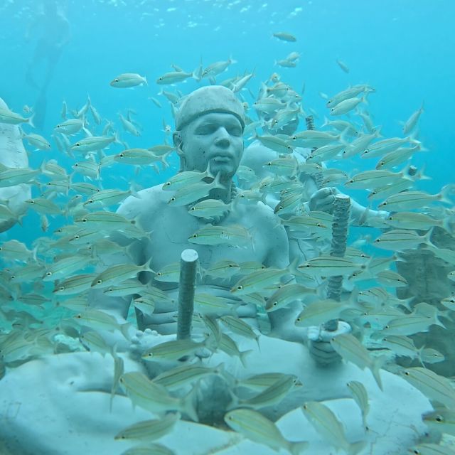 Discover Scuba at the Underwater Sculpture Park - Frequently Asked Questions