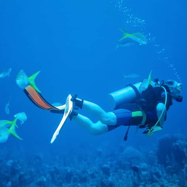 Discover Scuba at the Underwater Sculpture Park - Final Words