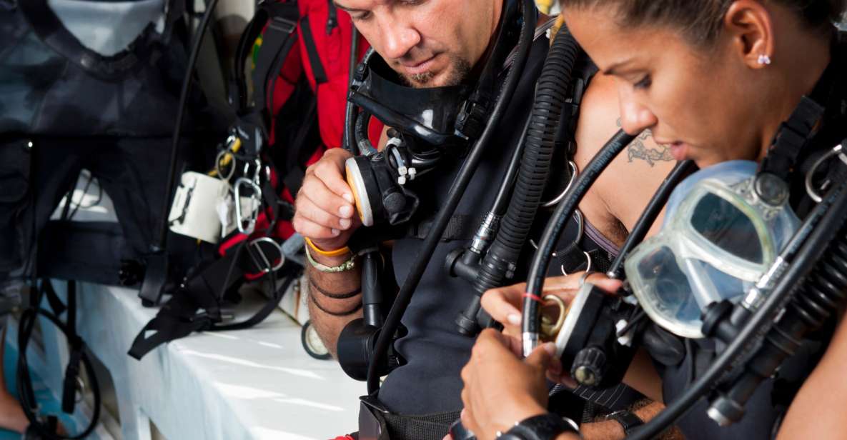 Discover Scuba at the Underwater Sculpture Park - Key Points