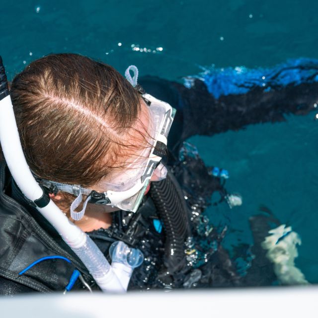 Discover Scuba at the Underwater Sculpture Park - Frequently Asked Questions