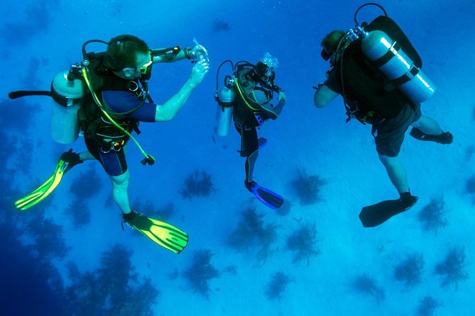 Discover Scuba Dive From Kusadasi / Selcuk - Pricing and Transfer Details