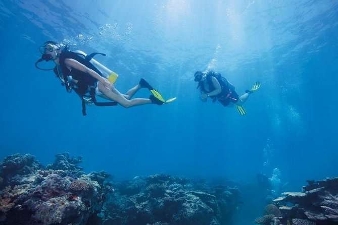 Discover Scuba Dive From Kusadasi / Selcuk - Preparing for the Dive