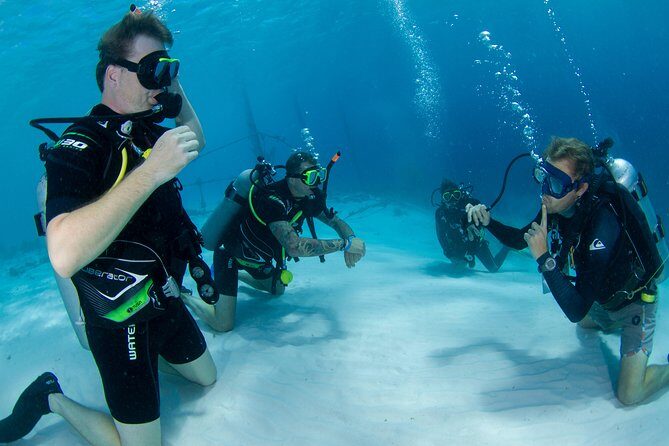 Discover Scuba Dive in Curacao - Introduction to the Discover Scuba Dive Experience in Curacao