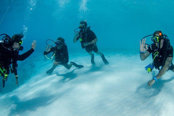 Discover Scuba Dive in Curacao - The Significance of Guides and Equipment