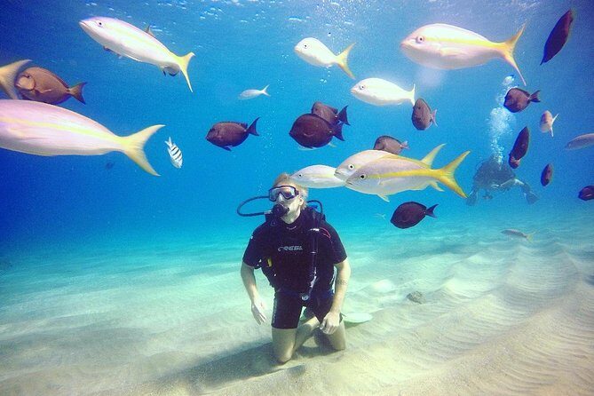 Discover Scuba Diving - Discover Scuba Diving in Sosua: An Honest, Practical Review