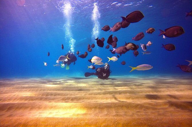 Discover Scuba Diving - Key Points