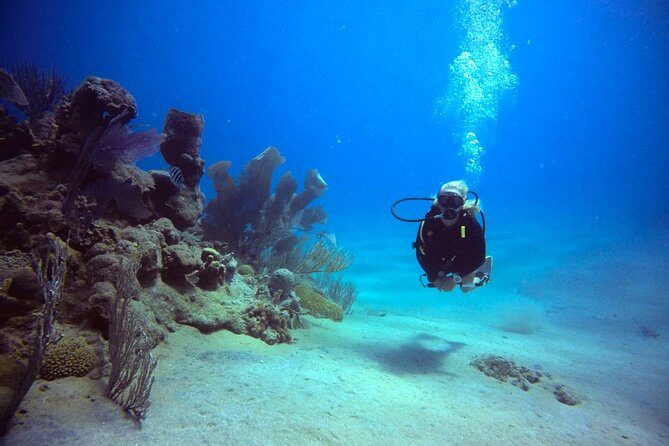 Discover Scuba Diving - Who This Tour Is Best For
