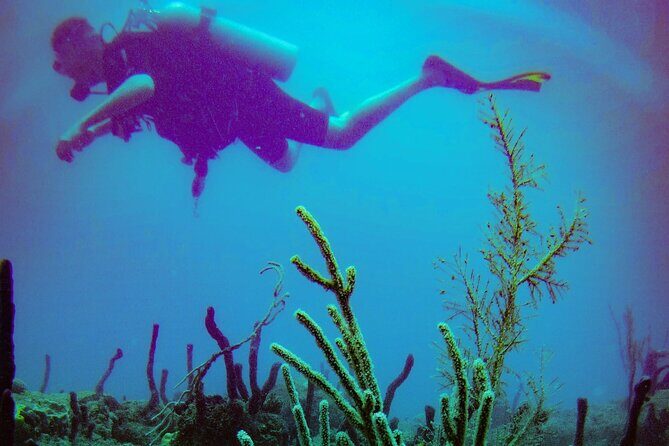 Discover Scuba Diving - Practical Details That Matter