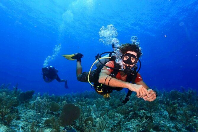 Discover Scuba Diving at Casa Cenote No Certification Needed - Final Words