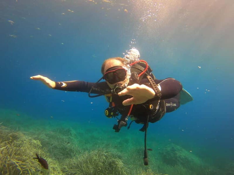Discover Scuba Diving Boat Tour - An In-Depth Look at the Experience