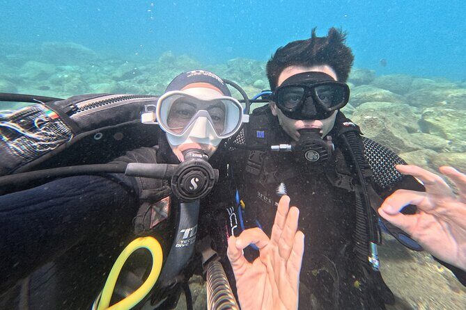 Discover Scuba Diving by boat, Puerto Colon - The Sum Up