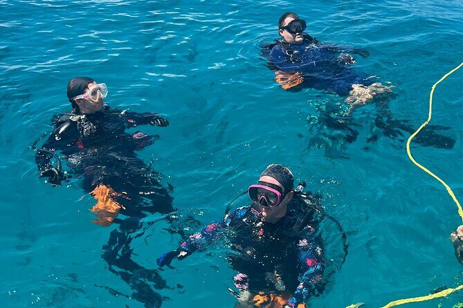 Discover Scuba Diving Course Pool Training Session in Key Largo. - What to Expect from the Key Largo Discover Scuba Pool Session