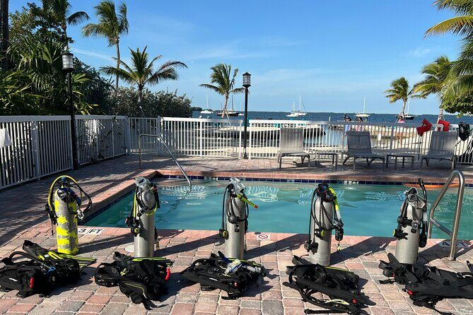 Discover Scuba Diving Course Pool Training Session in Key Largo. - Who Will Love This?