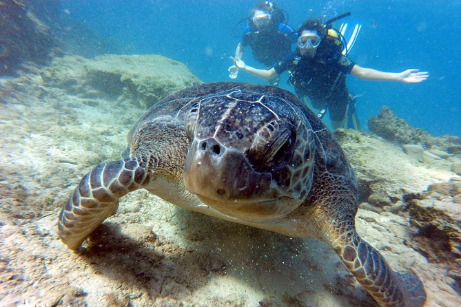 Discover Scuba Diving - Expectations and Requirements
