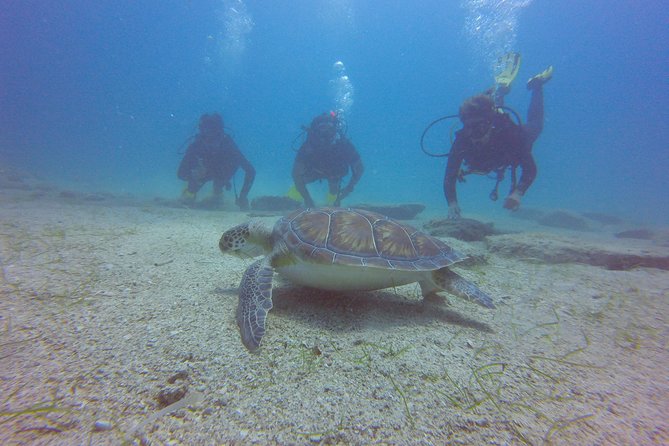 Discover Scuba Diving - Recap