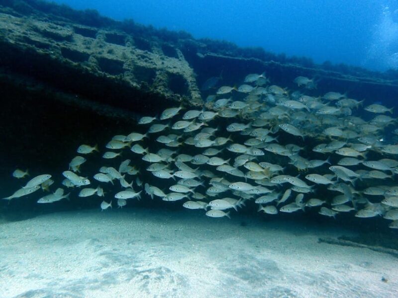 Discover Scuba Diving Experience - Included Equipment and Accessories