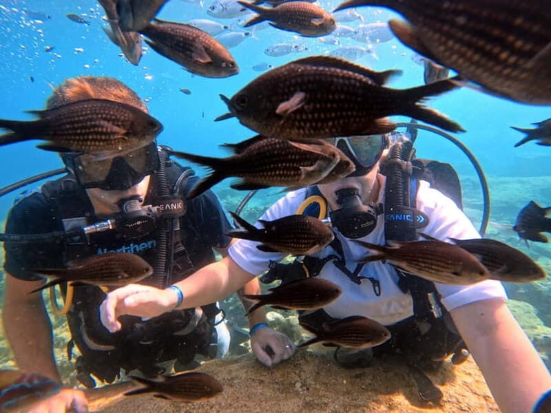 Discover Scuba Diving Experience - The Sum Up: A Practical, Enjoyable Introduction to Cyprus’s Underwater World