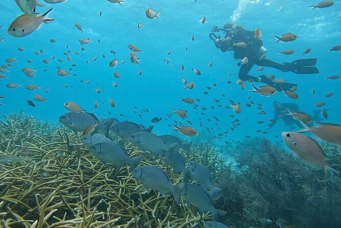 Discover Scuba Diving Experience - Discover Scuba Diving Experience: A Practical Introduction to Underwater Adventure in Bonaire