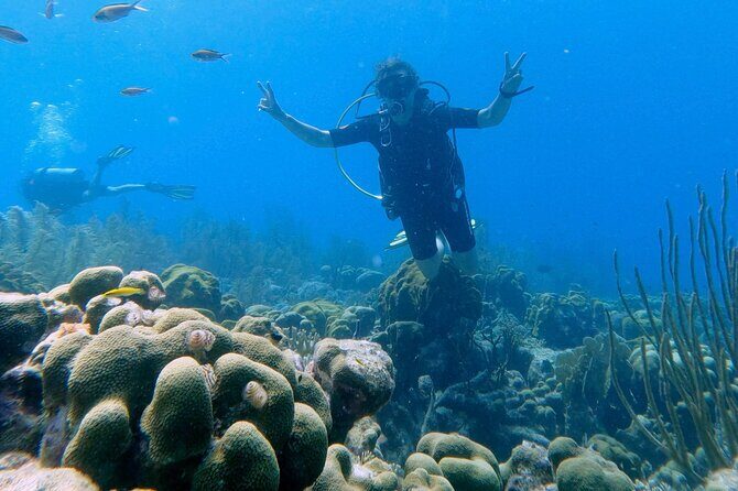 Discover Scuba Diving Experience - An In-Depth Look at the Experience