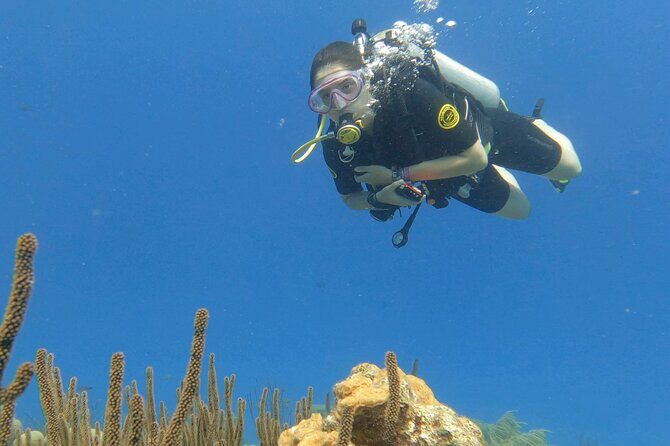 Discover Scuba Diving Experience - The Sum Up: Who Will Love This Tour?