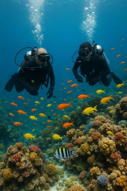 Discover Scuba Diving for Beginners Negril - An Authentic Introduction to Jamaica’s Underwater World