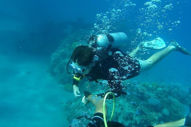 Discover Scuba Diving From Ocho Rios - Authentic Experiences from Past Participants