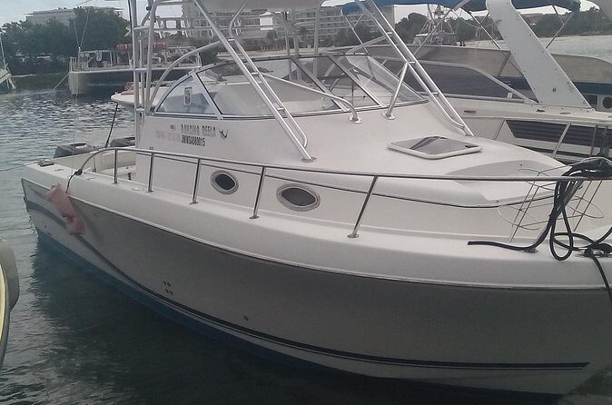 Discover Scuba Diving From Ocho Rios - The Sum Up: Who Will Love This Experience?