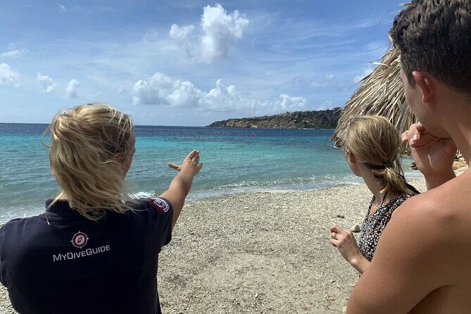 Discover Scuba Diving in Curacao - Key Points