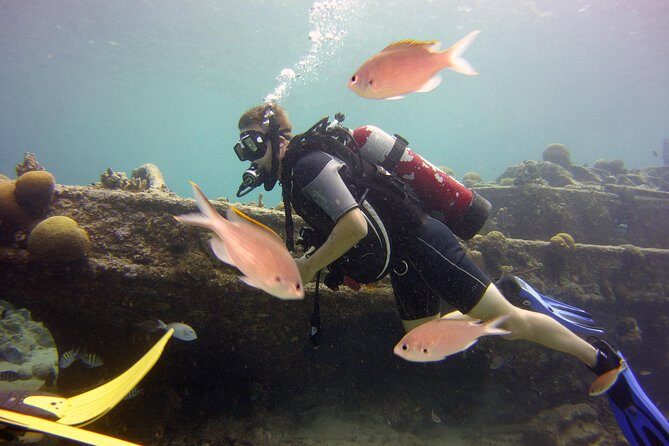 Discover Scuba Diving in Curacao - What Makes This Tour Stand Out