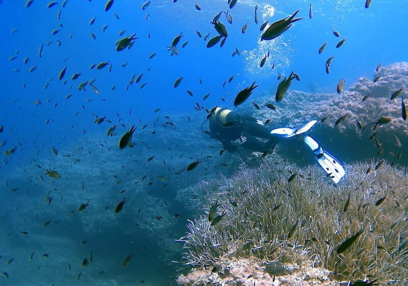 Discover Scuba Diving in Menorca: your first underwater adventure - Key Points