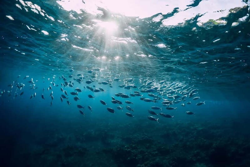 Discover Scuba Diving in Menorca: your first underwater adventure - The Sum Up