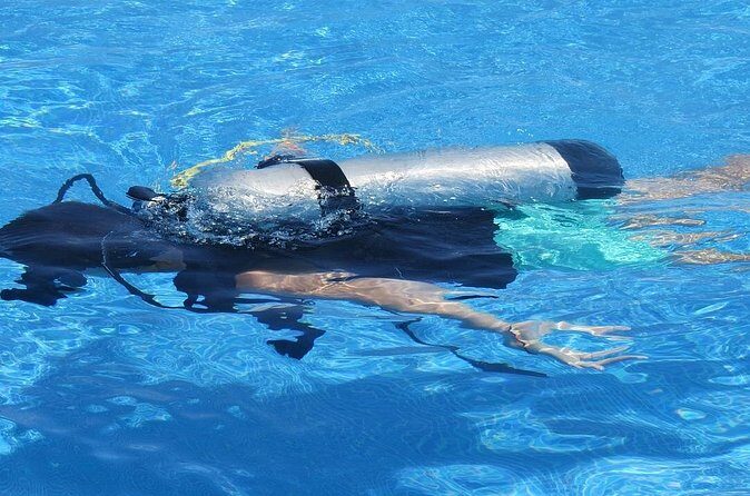 Discover Scuba Diving in Montego Bay - Pricing and Value