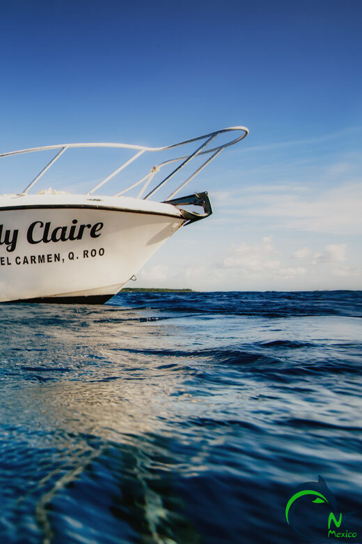 Discover Scuba Diving in Playa del Carmen - 2 dives - The Sum Up: Who Should Consider This Tour?