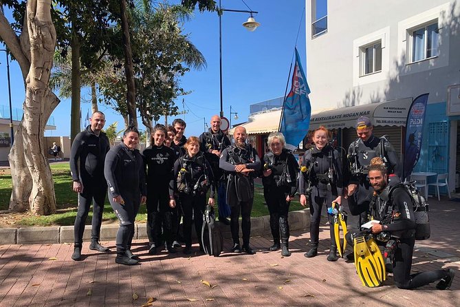 Discover Scuba Diving in Puerto De Mogan - Underwater Flora and Fauna
