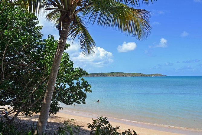 Discover Scuba Diving in San Juan: Perfect for First-Time Divers - Frequently Asked Questions (FAQs)