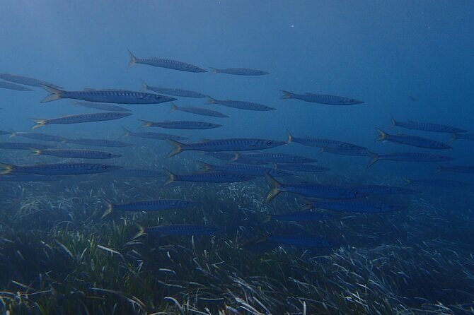 Discover Scuba Diving in Santorini - An In-Depth Look at the Santorini Discover Scuba Tour