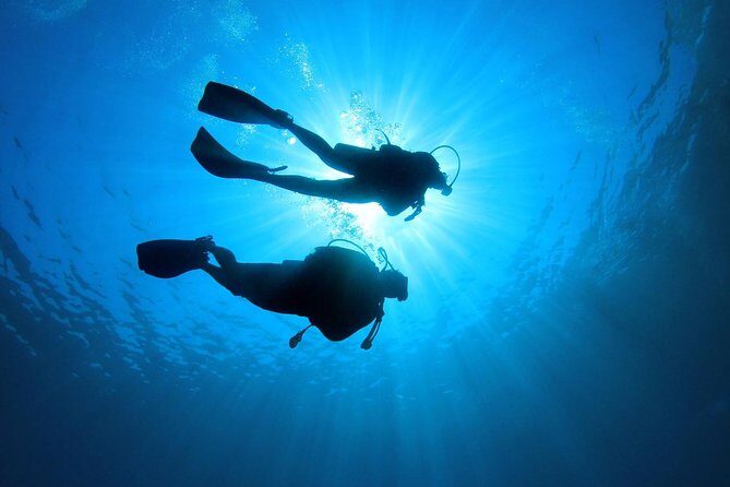 Discover Scuba Diving in Tenerife - Authentic Reviews From Participants