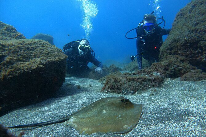 Discover Scuba Diving in Tenerife - Who Is This Tour Best For?