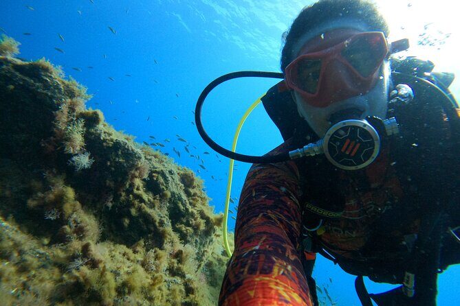 Discover Scuba Diving in Tenerife - FAQs