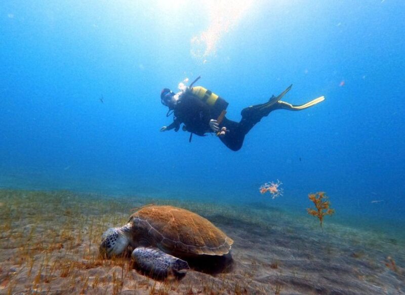 Discover Scuba Diving in the Ocean, Snacks Included - Scuba Diving Certification