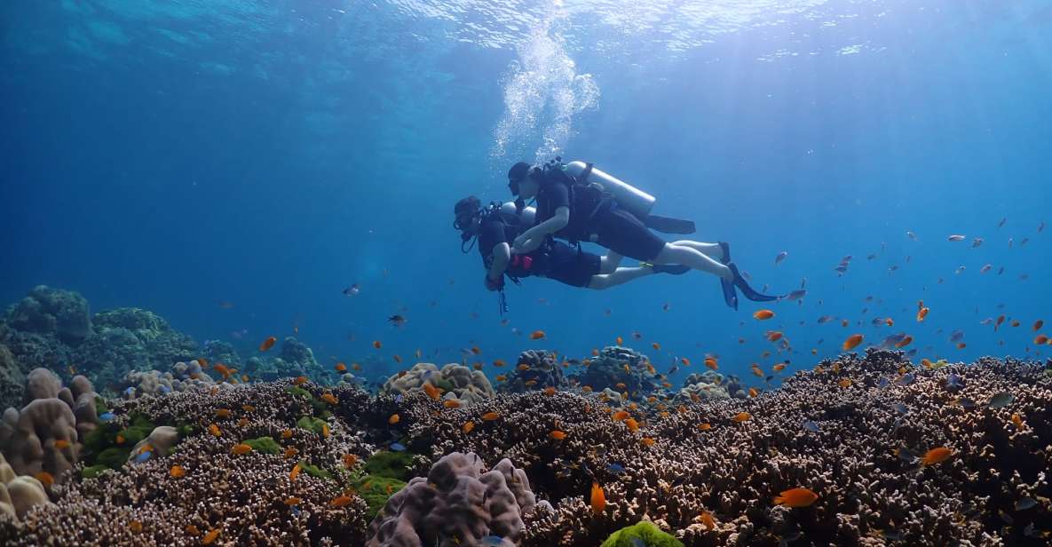 Discover Scuba Diving Racha Yai From Phuket - Requirements