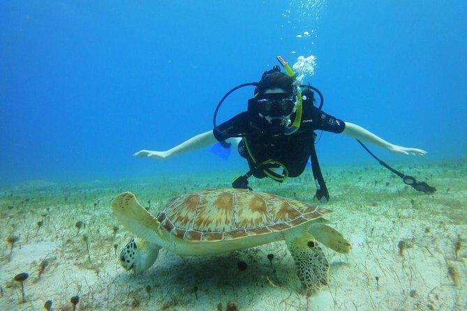 Discover Scuba Diving with No Certification in St Thomas - Who Would Love This Experience?