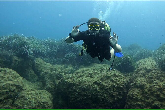 Discover SCUBA Diving with Pissouri Bay Divers - What Travelers Say