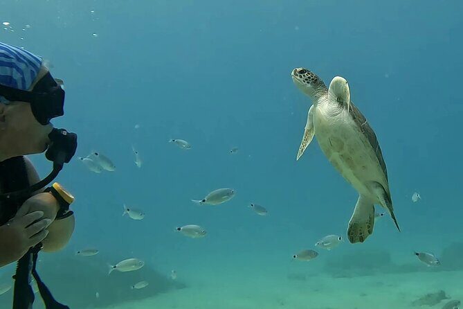 Discover SCUBA Diving with Pissouri Bay Divers - Final Thoughts