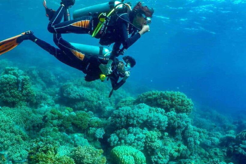 Discover Scuba: PADI Intro Dive in Dauin - Key Points